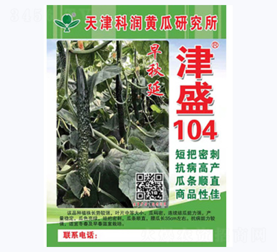 早秋延津盛104-黃瓜種子-科潤種業(yè)
