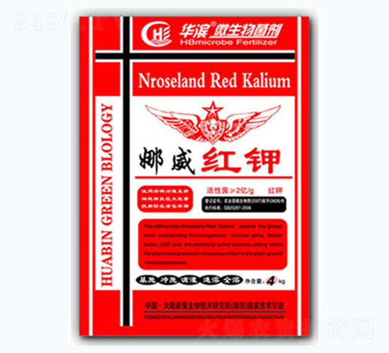 �����t�-�A�I����