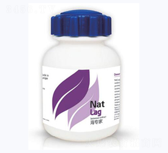 ������-�{��