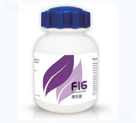 ������-�{��