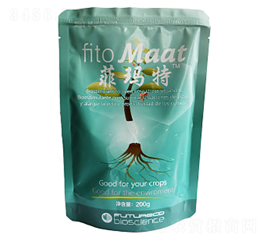 �Ƭ���-������