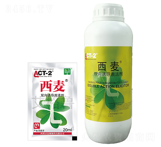 �p���T��(d��o)���-����-������