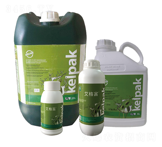 ����-������