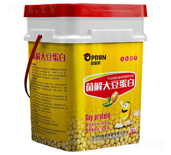 ø��󶹵���-�W�՝�-�xҫ����