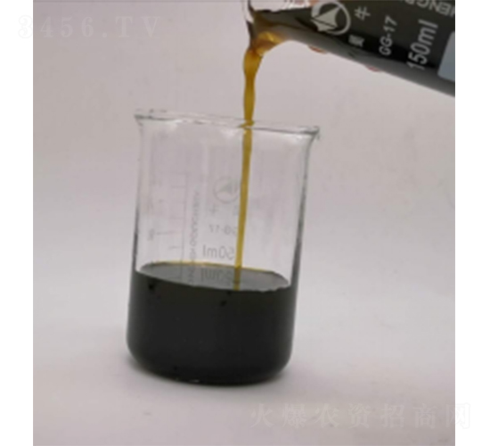 ø�ⰱ���������F-����(r��n)�Ƽ�