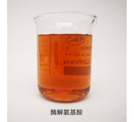 ø�ⰱ����-�����Ƽ�