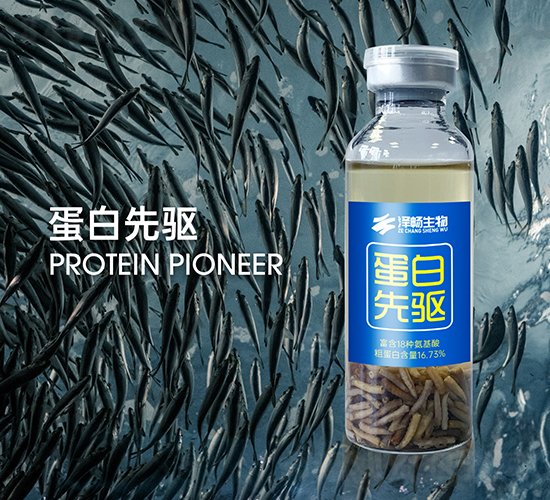 �������(q��)-�ɕ�����