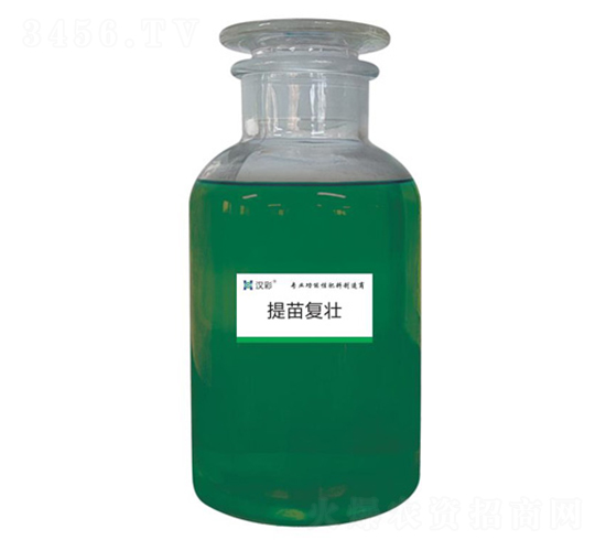 �����(f��)��-�h�����B(t��i)