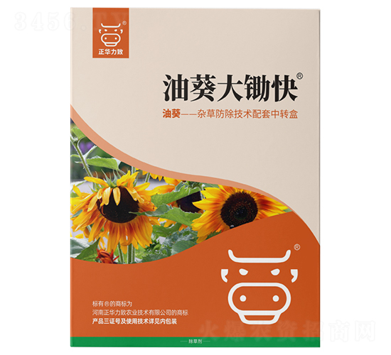 �Ϳ����z��-���A����