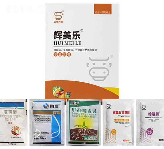 ���������o�����������ݲ�����ή���ײ�-�x����(l��)-���A����