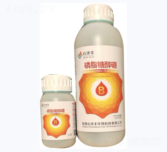 ��֬�Ǵ���-�����S