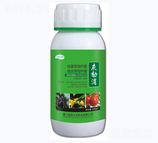 ������-ʢԴ