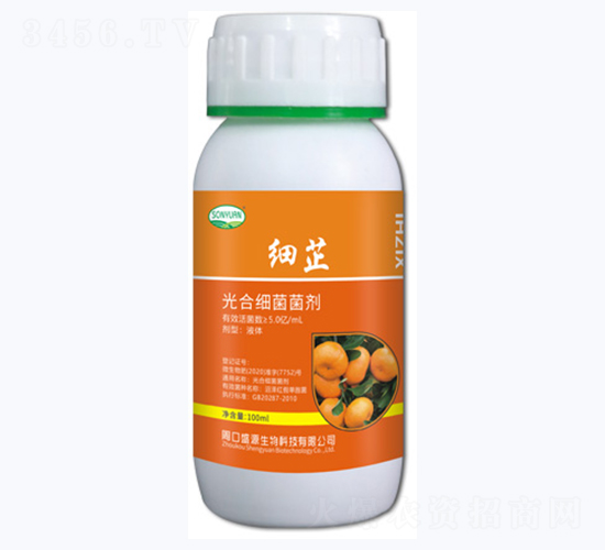 ��(x��)�ƹ�ϼ�(x��)������-ʢԴ