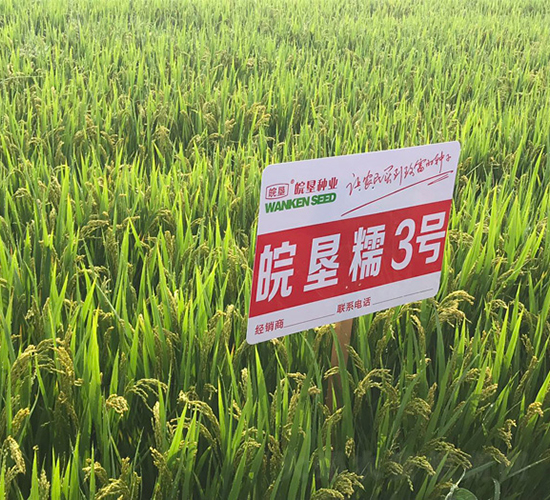 �Ŵ3̖-ˮ���N��-���߷N�I(y��)