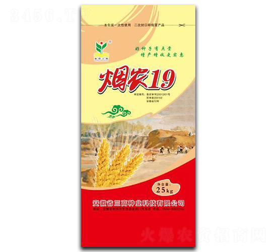 煙農(nóng)19-小麥種子-三高種業(yè)