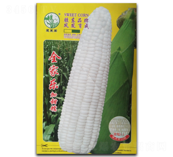 全家福-糯玉米種子-鳳凰種業(yè)