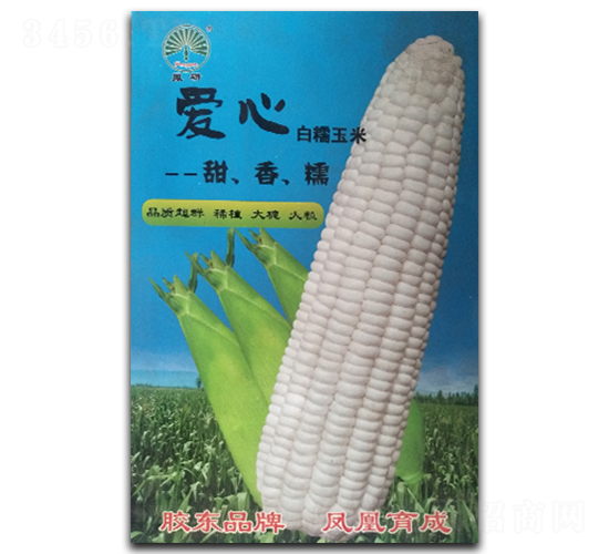 愛心-糯玉米種子-鳳凰種業(yè)