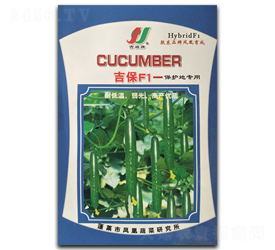 吉保F1-黃瓜種子-鳳凰種業(yè)