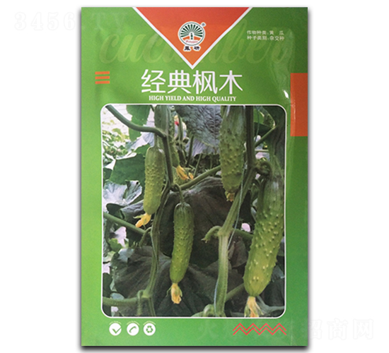 經(jīng)典楓木-黃瓜種子-鳳凰種業(yè)
