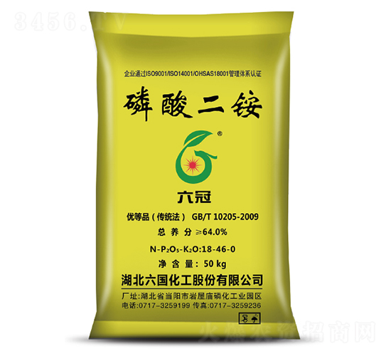 ������@-����-��������