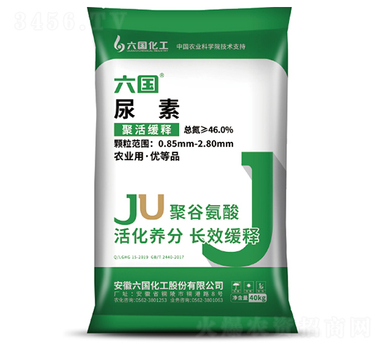 �۹Ȱ�������-����(gu��)����