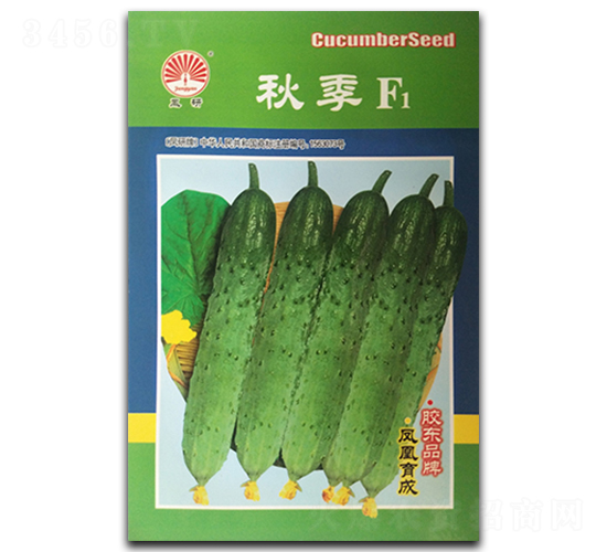 秋季F1-黃瓜種子-鳳凰種業(yè)