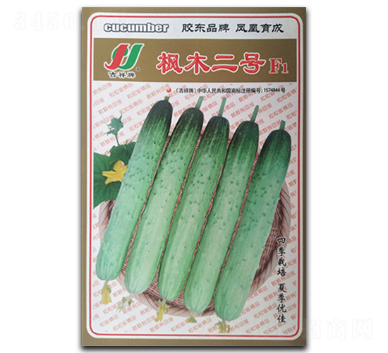 楓木二號F1-黃瓜種子-鳳凰種業(yè)