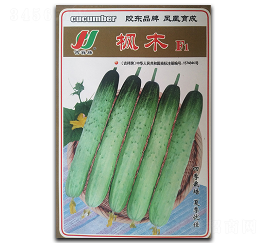 楓木F1-黃瓜種子-鳳凰種業(yè)