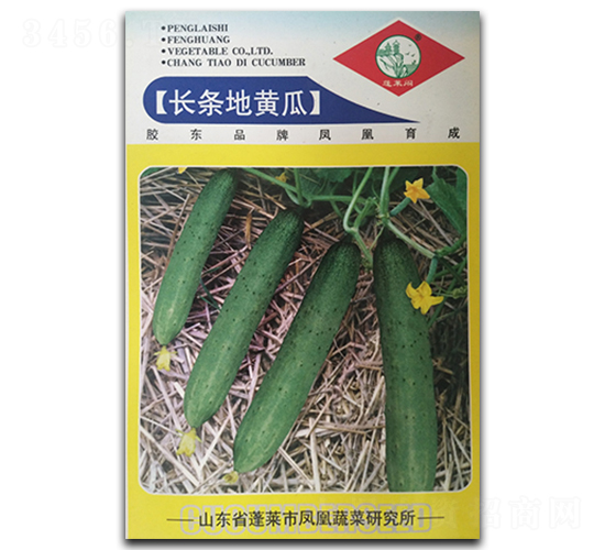 長條地黃瓜-黃瓜種子-鳳凰種業(yè)