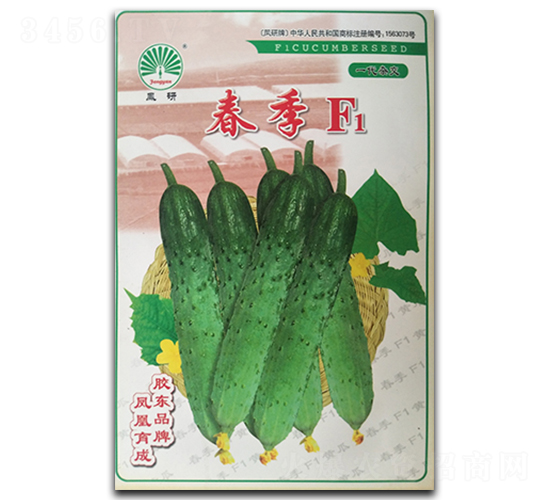 ����F1-�S�ϷN��-�P�˷N�I(y��)