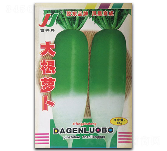 ����}��-�}���N��-�P�˷N�I(y��)