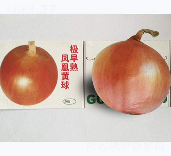 �O�����P���S��-���[�N��-�P�˷N�I(y��)