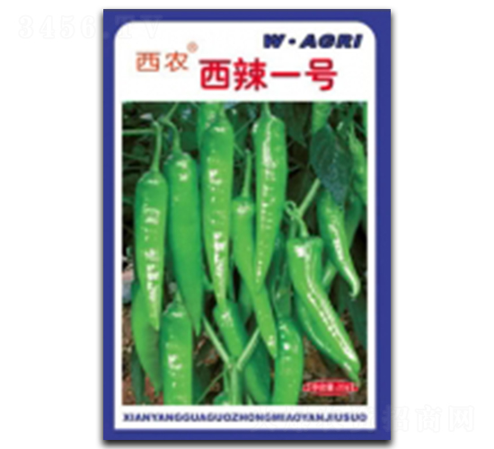 ����1̖-�����N��-�ؼt�N�I(y��)