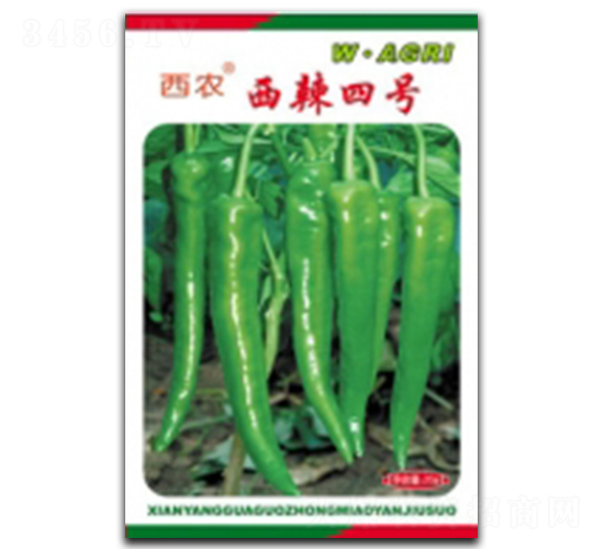 ����4̖-�����N��-�ؼt�N�I(y��)