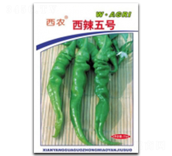 ����5̖-�����N��-�ؼt�N�I(y��)