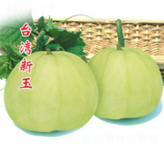 �_������-��ϷN��-�ؼt�N�I(y��)