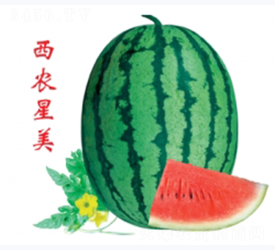 ���r(n��ng)����-���ϷN��-�ؼt�N�I(y��)