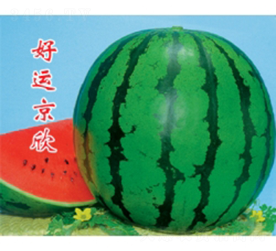 ���\����-���ϷN��-�ؼt�N�I(y��)