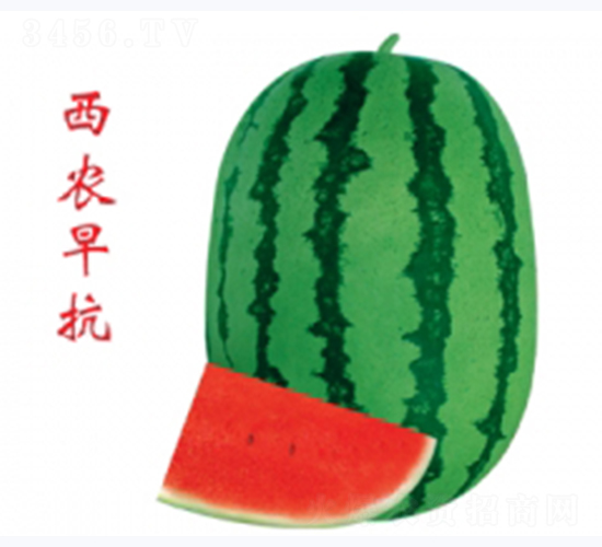 ���r(n��ng)�翹-���ϷN��-�ؼt�N�I(y��)