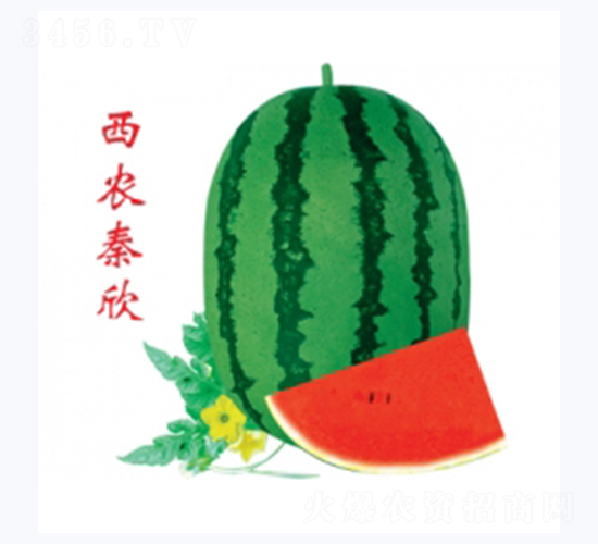 ���r(n��ng)����-���ϷN��-�ؼt�N�I(y��)