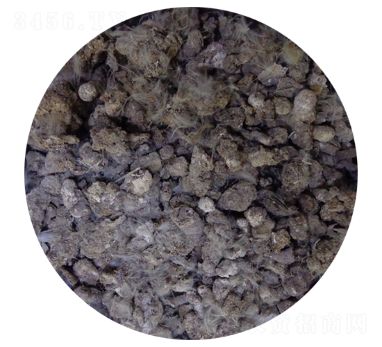 小雞糞-碩田生物