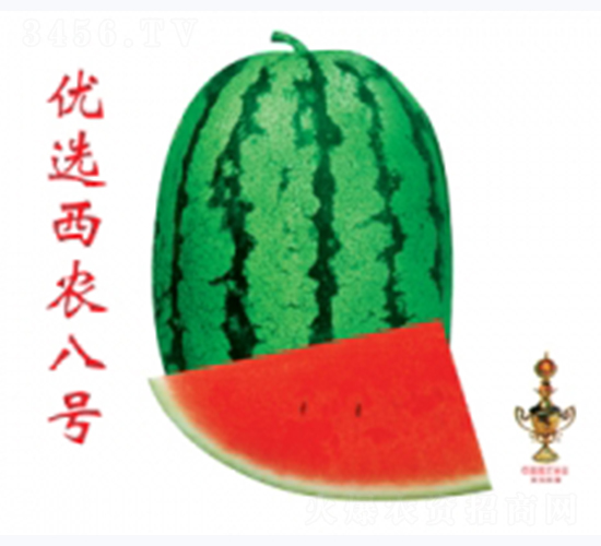 ��(y��u)�x���r(n��ng)��̖(h��o)-���ϷN��-�ؼt�N�I(y��)