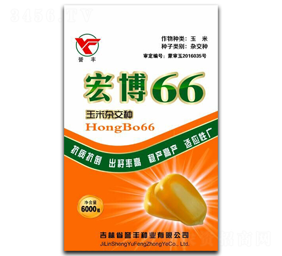宏博66-玉米種子-譽(yù)豐種業(yè)