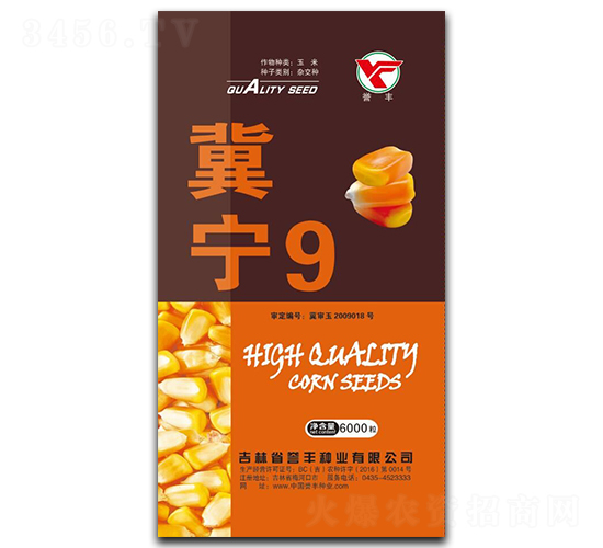 冀寧9-玉米種子-譽(yù)豐種業(yè)