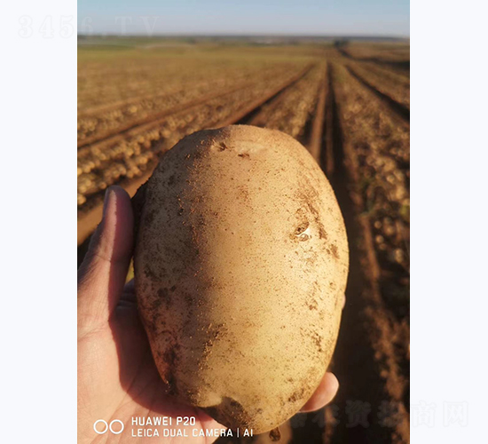 ����һ̖(h��o)-�R����N��-����N�I(y��)