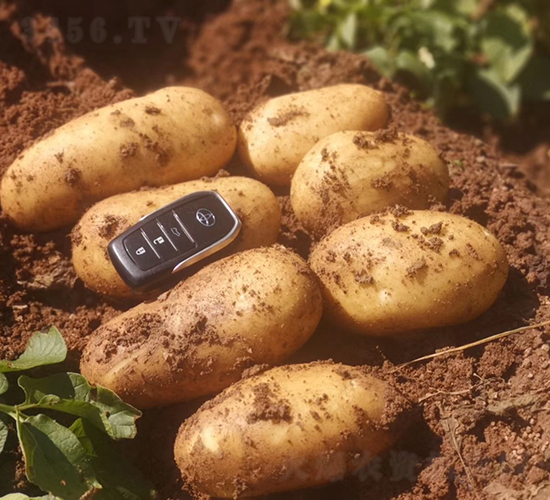 ����8̖-�R����N��-����N�I(y��)