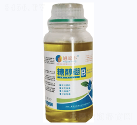 �Ǵ���-��ԭ�S