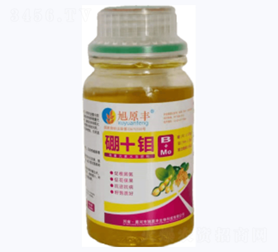 �Ǵ���+�f-��ԭ�S