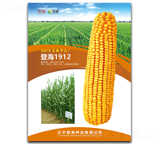 登海1912-玉米種子-登海種業(yè)