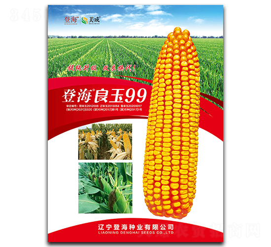 登海良玉99-玉米種子-登海種業(yè)